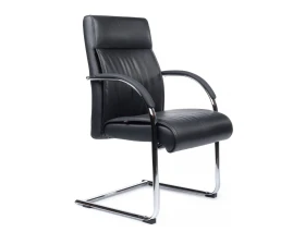 Кресло RV ДИЗАЙН Гастон-СФ / Gaston-SF (9364) images