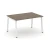 Вяз благородный/Белый