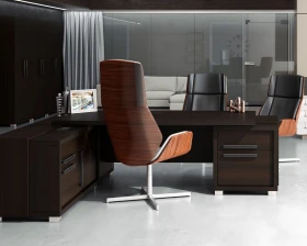 Кабинет руководителя Грейс / Grace images