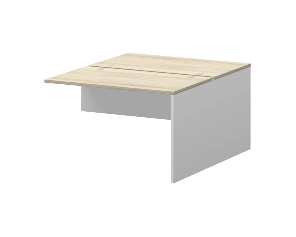 Модуль двойной СМСН25-2.12.73 1200x1496x750 Смарт (pt)