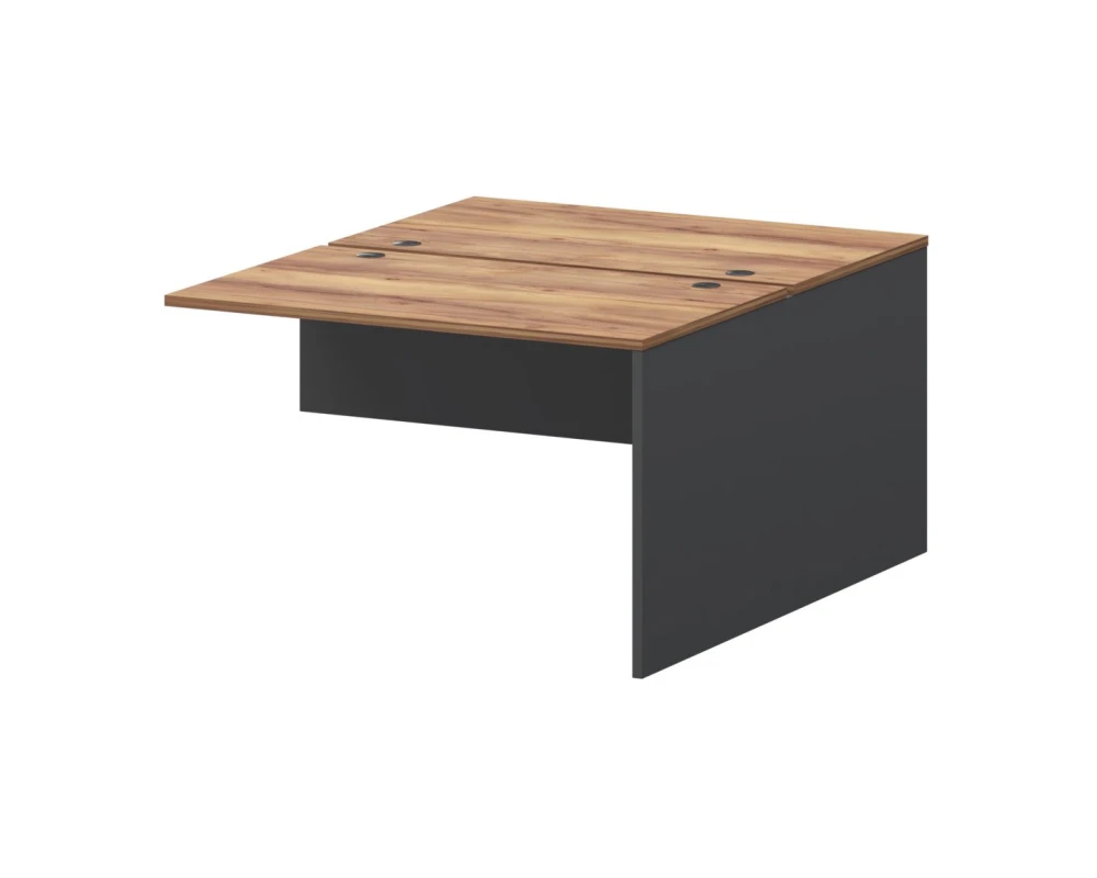 Модуль двойной СМСН25-2.12.73 1200x1496x750 Смарт (pt)