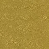 aries5041
