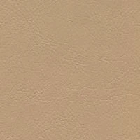 aries556