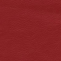 aries581