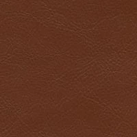 aries591
